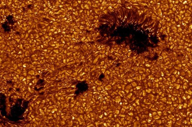 太陽上會進化出等離子體生命嗎？